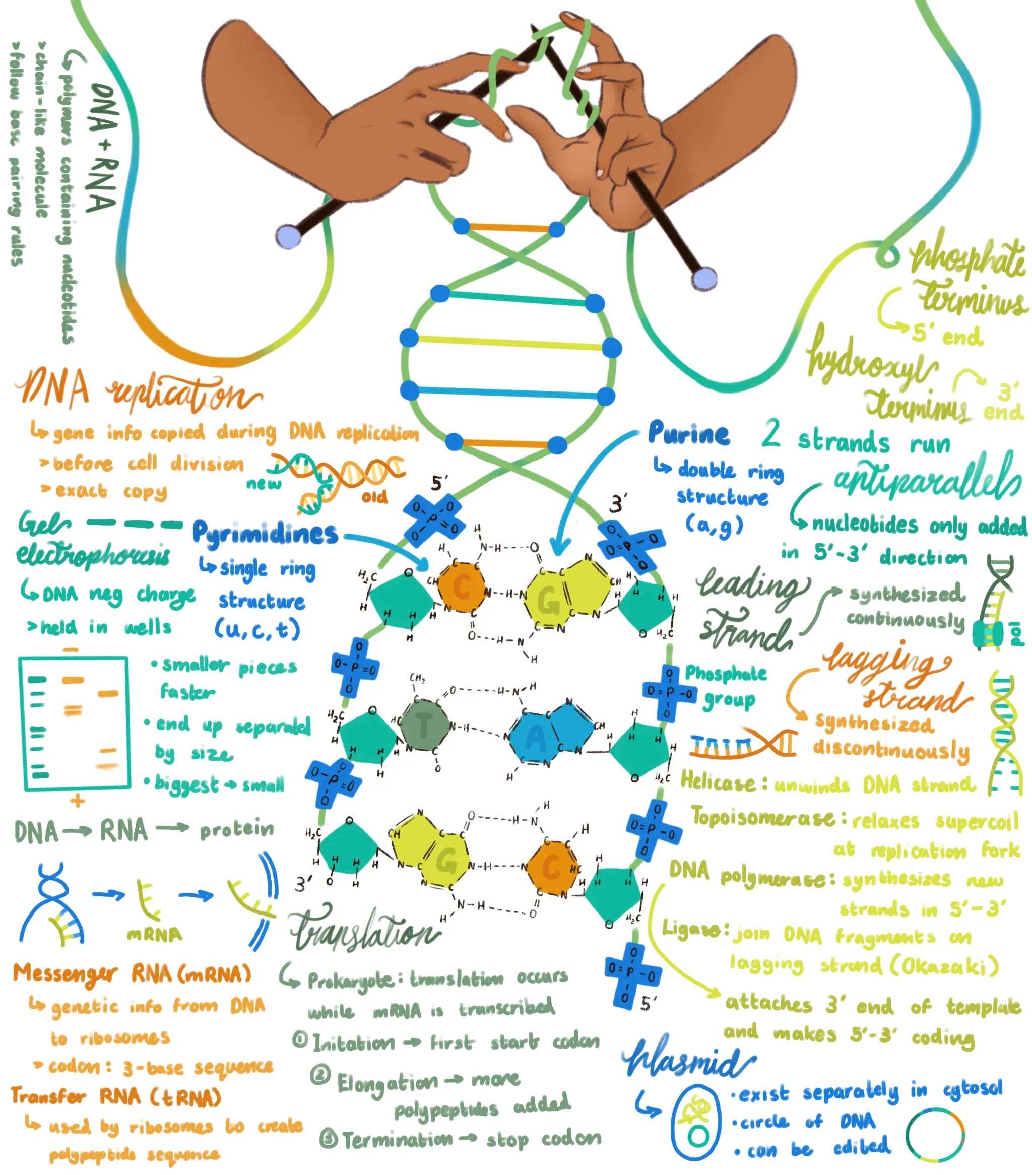 Gene Editing